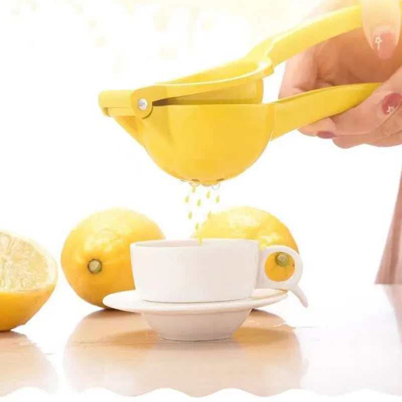 Portable Aluminum Alloy Citrus Fruit Juicer & Mini Blender