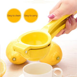 Portable Aluminum Alloy Citrus Fruit Juicer & Mini Blender