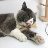 Cat Dental Health and Play Toy with Matatabi and Catnip Snacks