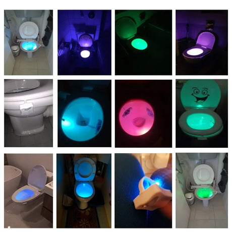 Toilet Light with Motion Sensor and LED Night Lights in 8 Colors