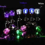 LED Light Up Stainless Steel Ear Studs - Eye-Catching Glow Stick Earrings