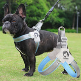 Adjustable Mesh Dog Harness Vest for Small Large Dogs - Reflective Chest Strap and Training Tool